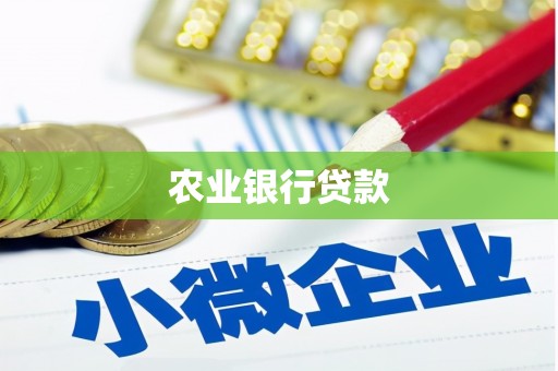 雁塔农业银行贷款