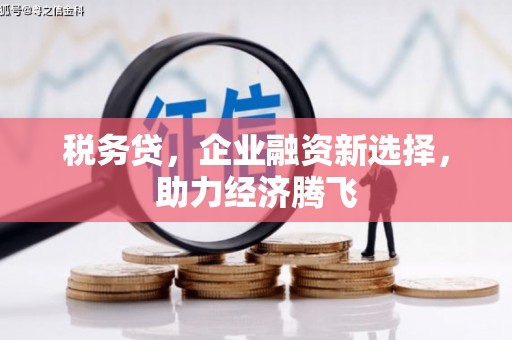 雁塔税务贷，企业融资新选择，助力经济腾飞