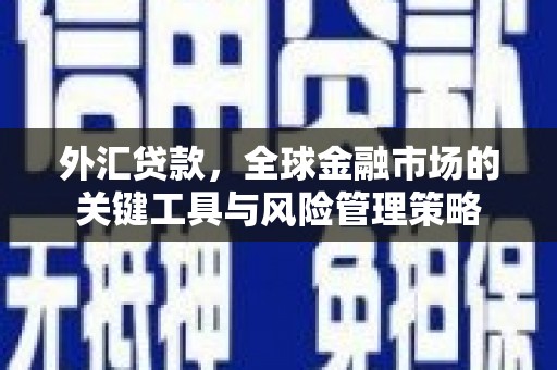 雁塔外汇贷款，全球金融市场的关键工具与风险管理策略