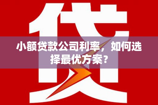 雁塔小额贷款公司利率，如何选择最优方案？