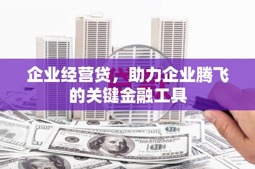 雁塔企业经营贷，助力企业腾飞的关键金融工具