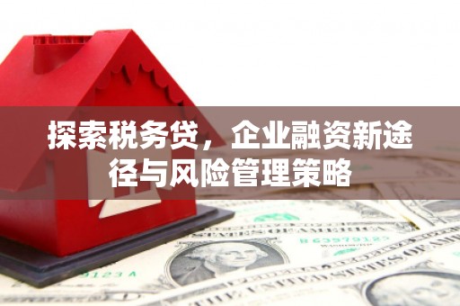 雁塔探索税务贷，企业融资新途径与风险管理策略