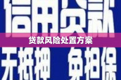 雁塔贷款风险处置方案