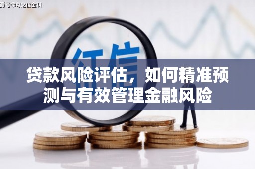 雁塔贷款风险评估，如何精准预测与有效管理金融风险