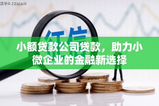 雁塔小额贷款公司贷款，助力小微企业的金融新选择