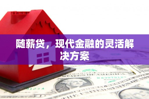 雁塔随薪贷，现代金融的灵活解决方案