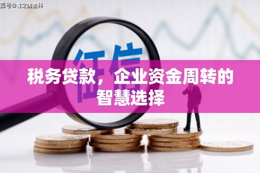 雁塔税务贷款，企业资金周转的智慧选择