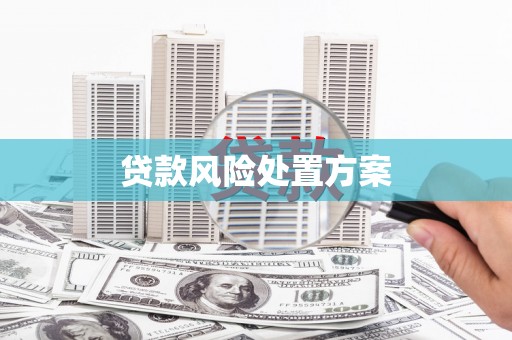 雁塔贷款风险处置方案