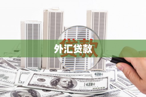 雁塔外汇贷款