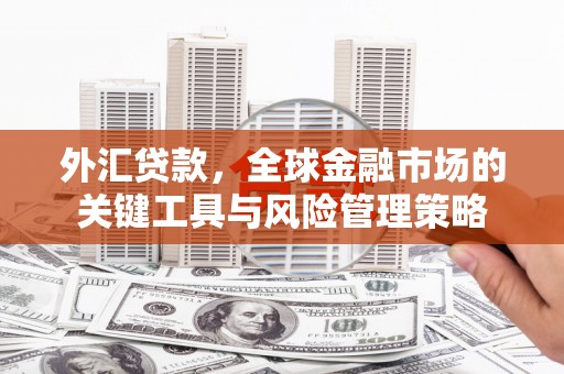 雁塔外汇贷款，全球金融市场的关键工具与风险管理策略