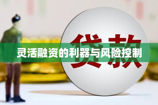 雁塔灵活融资的利器与风险控制