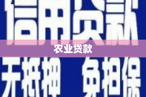 雁塔农业贷款