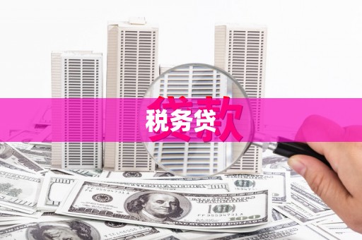 雁塔税务贷