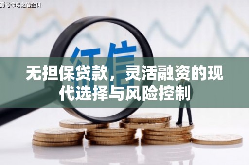 雁塔无担保贷款，灵活融资的现代选择与风险控制