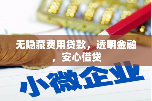 雁塔无隐藏费用贷款，透明金融，安心借贷