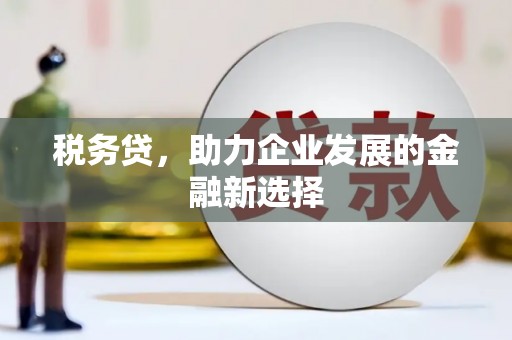 雁塔税务贷，助力企业发展的金融新选择