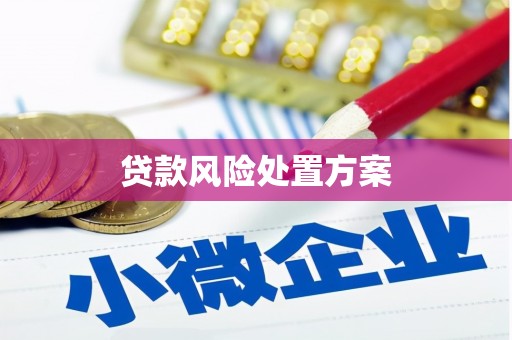 雁塔贷款风险处置方案