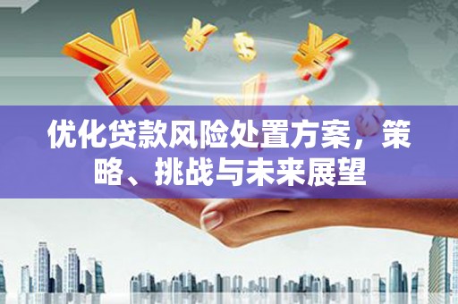 雁塔优化贷款风险处置方案，策略、挑战与未来展望