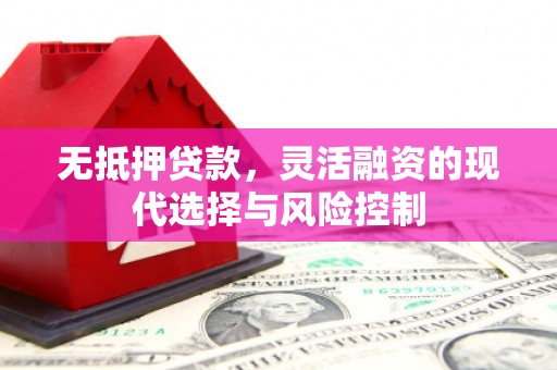 雁塔无抵押贷款，灵活融资的现代选择与风险控制