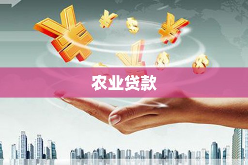 雁塔农业贷款