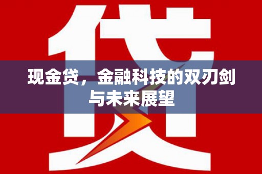 雁塔现金贷，金融科技的双刃剑与未来展望