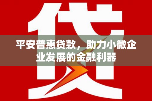 雁塔平安普惠贷款，助力小微企业发展的金融利器