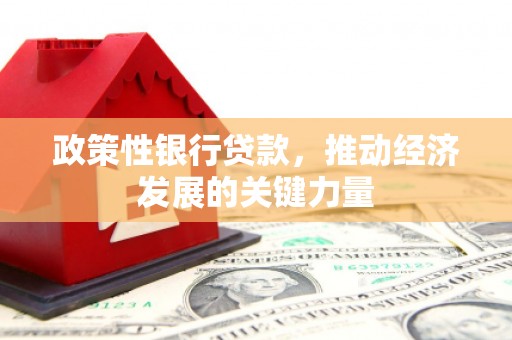 雁塔政策性银行贷款，推动经济发展的关键力量