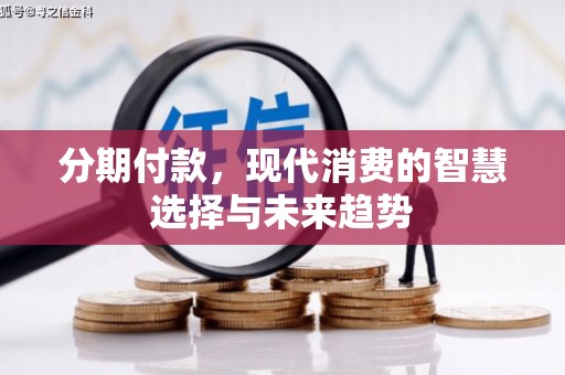 雁塔分期付款，现代消费的智慧选择与未来趋势