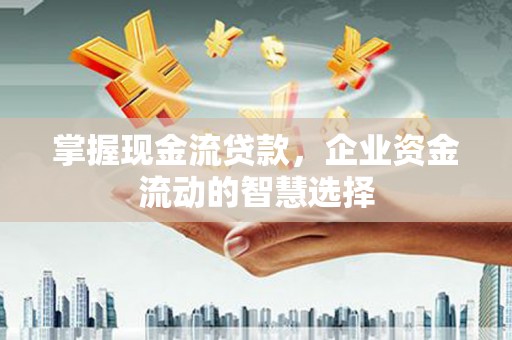 雁塔掌握现金流贷款，企业资金流动的智慧选择