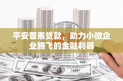 雁塔平安普惠贷款，助力小微企业腾飞的金融利器