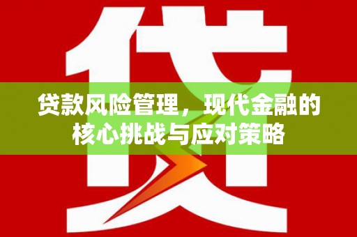 雁塔贷款风险管理，现代金融的核心挑战与应对策略