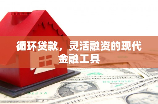 雁塔循环贷款，灵活融资的现代金融工具