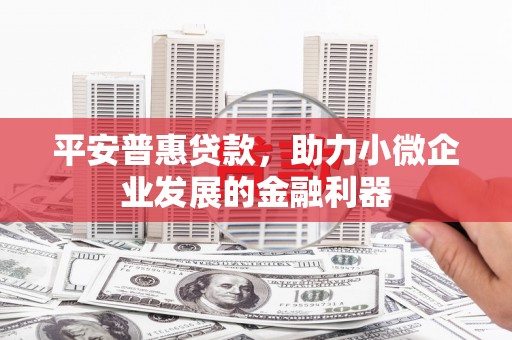 雁塔平安普惠贷款，助力小微企业发展的金融利器
