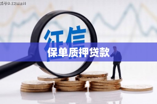 雁塔保单质押贷款