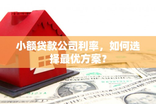雁塔小额贷款公司利率，如何选择最优方案？