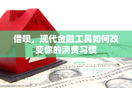 雁塔借呗，现代金融工具如何改变你的消费习惯