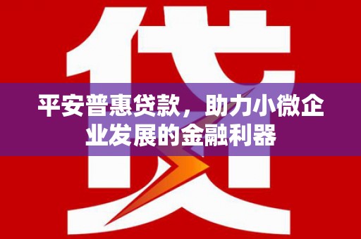 雁塔平安普惠贷款，助力小微企业发展的金融利器