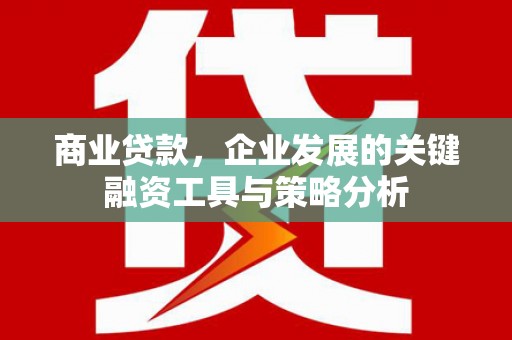 雁塔商业贷款，企业发展的关键融资工具与策略分析