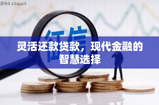 雁塔灵活还款贷款，现代金融的智慧选择