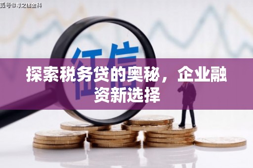 雁塔探索税务贷的奥秘，企业融资新选择