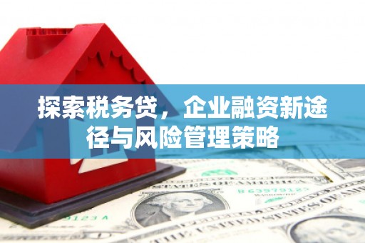 雁塔探索税务贷，企业融资新途径与风险管理策略