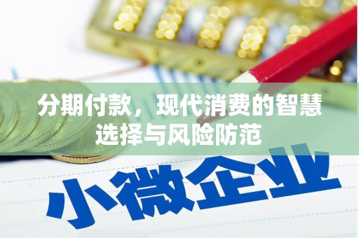 雁塔分期付款，现代消费的智慧选择与风险防范