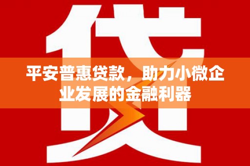 雁塔平安普惠贷款，助力小微企业发展的金融利器