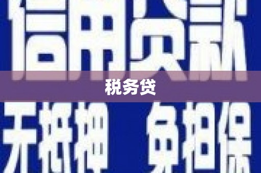 雁塔税务贷