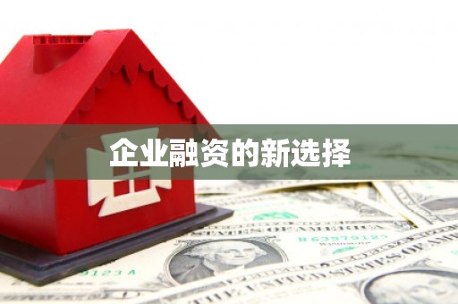 雁塔企业融资的新选择