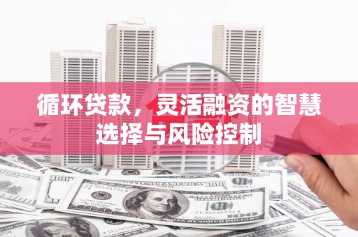雁塔循环贷款，灵活融资的智慧选择与风险控制