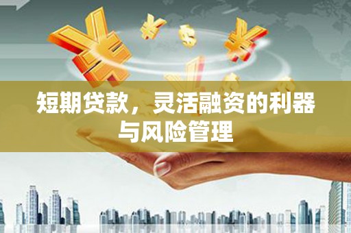 雁塔短期贷款，灵活融资的利器与风险管理