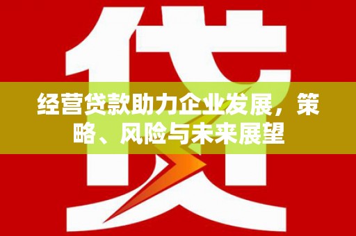 雁塔经营贷款助力企业发展，策略、风险与未来展望