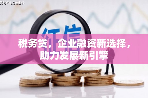 雁塔税务贷，企业融资新选择，助力发展新引擎