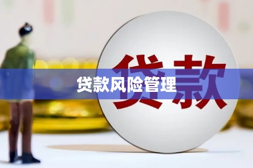 雁塔贷款风险管理